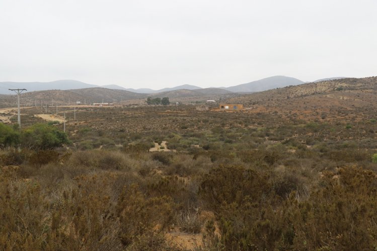 COMUNIDADES VECINAS AL PARQUE FRAY JORGE PODRÁN DESARROLLAR EMPRENDIMIENTOS SUSTENTABLES EN LA RESERVA DE LA BIÓSFERA