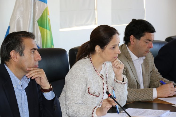 DEFENSA DE LA DENOMINACIÓN DE ORIGEN DEL PISCO SE FORTALECERÁ CON LA CREACIÓN DEL PRIMER CONSEJO REGULADOR DEFENSA DE LA DENOMINACIÓN DE ORIGEN DEL PISCO SE FORTALECERÁ CON LA CREACIÓN DEL PRIMER CONSEJO REGULADOR