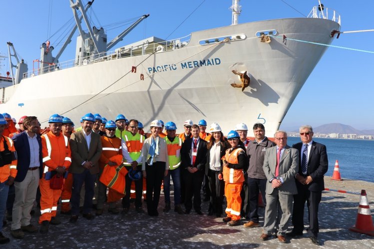 EXPORTACIÓN DE FRUTA DE INVIERNO ENTREGA UNA FUERTE SEÑAL DE REACTIVACIÓN ECONÓMICA PARA LA REGIÓN