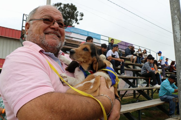 GOBIERNO ABRE POSTULACIONES A LOS FONDOS CONCURSABLES PARA LA TENENCIA RESPONSABLE DE MASCOTAS