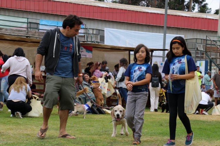 GOBIERNO ABRE POSTULACIONES A LOS FONDOS CONCURSABLES PARA LA TENENCIA RESPONSABLE DE MASCOTAS GOBIERNO ABRE POSTULACIONES A LOS FONDOS CONCURSABLES PARA LA TENENCIA RESPONSABLE DE MASCOTAS