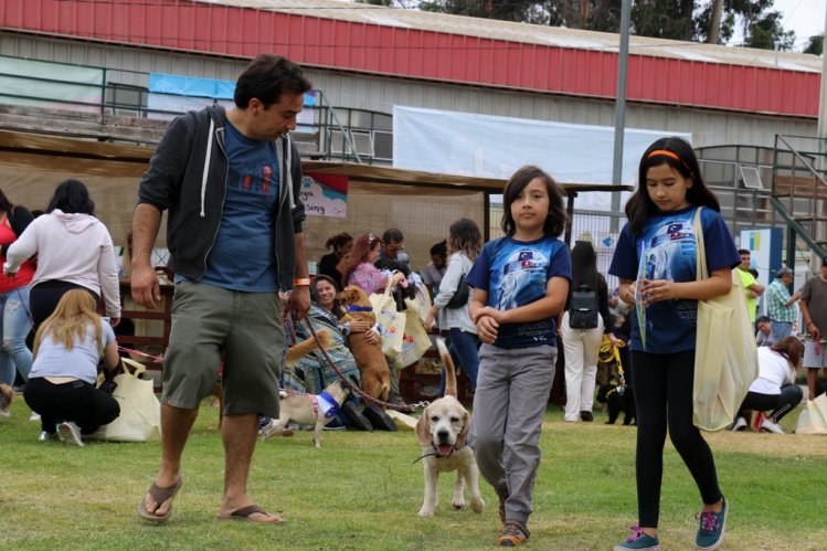 GOBIERNO ABRE POSTULACIONES A LOS FONDOS CONCURSABLES PARA LA TENENCIA RESPONSABLE DE MASCOTAS