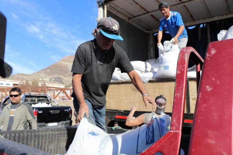 GOBIERNO DECLARA EMERGENCIA AGRÍCOLA PARA APOYAR A PEQUEÑOS PRODUCTORES DE LA REGIÓN DE COQUIMBO GOBIERNO DECLARA EMERGENCIA AGRÍCOLA PARA APOYAR A PEQUEÑOS PRODUCTORES DE LA REGIÓN DE COQUIMBO