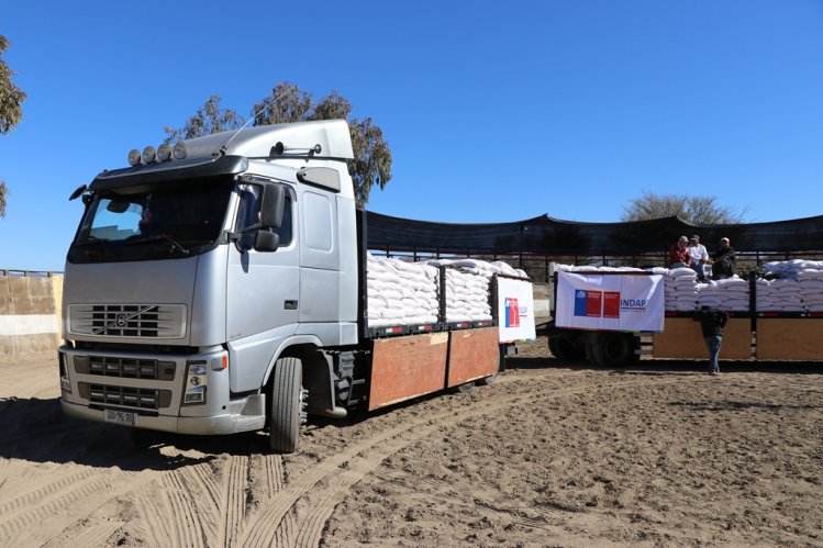 CRIANCEROS DE MONTE PATRIA RECIBEN ALIMENTACIÓN ESPECIAL PARA DAR MAYOR ENERGÍA Y NUTRICIÓN A LOS ANIMALES