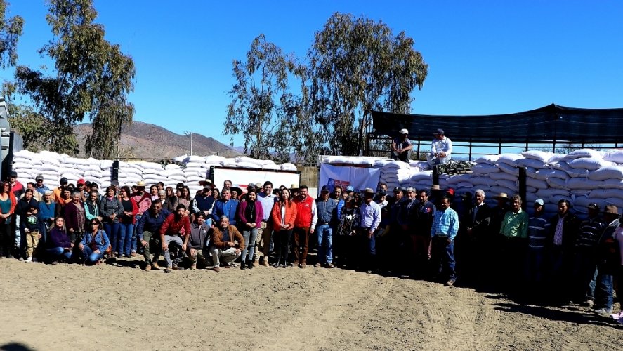 CRIANCEROS DE MONTE PATRIA RECIBEN ALIMENTACIÓN ESPECIAL PARA DAR MAYOR ENERGÍA Y NUTRICIÓN A LOS ANIMALES