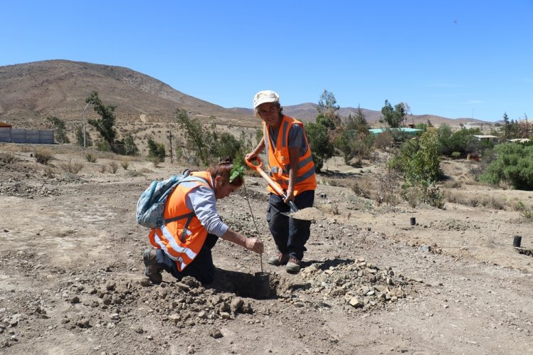 GOBIERNO GESTIONA 200 CUPOS LABORALES DE EMERGENCIA PARA FAMILIAS AFECTADAS POR LA SEQUÍA