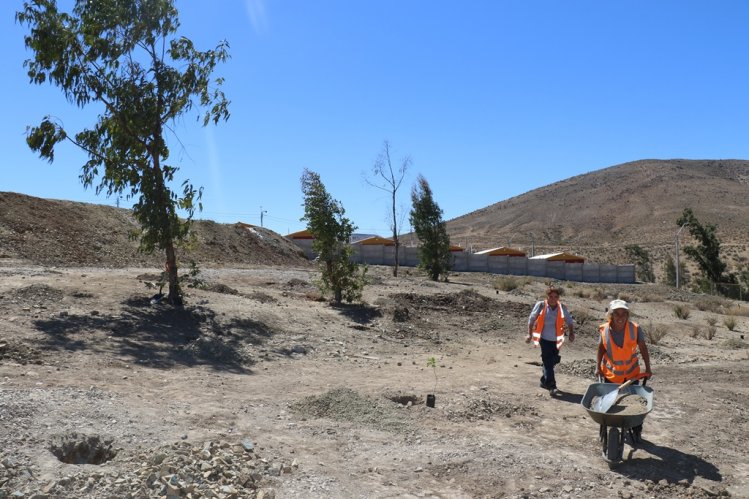 CONAF DISPONE 345 CUPOS DE EMPLEO PARA ENFRENTAR LA EMERGENCIA HÍDRICA EN LA REGIÓN CONAF DISPONE 345 CUPOS DE EMPLEO PARA ENFRENTAR LA EMERGENCIA HÍDRICA EN LA REGIÓN
