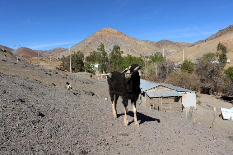 RENUEVAN DECRETO DE ZONA DE CATÁSTROFE PARA LA REGIÓN POR ESCASEZ HÍDRICA