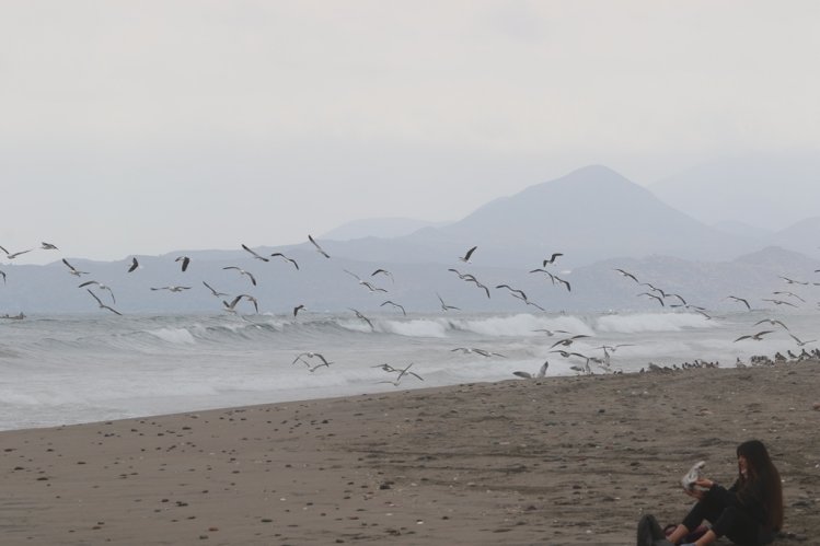 DESTACADOS ARTISTAS REGIONALES DARÁN EL VAMOS A LA COP 25 EN LA REGIÓN DE COQUIMBO