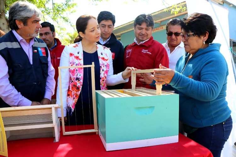 APICULTORES DE SALAMANCA RECIBIERON APOYO PARA ENFRENTAR LOS EFECTOS DE LA ESCASEZ HÍDRICA APICULTORES DE SALAMANCA RECIBIERON APOYO PARA ENFRENTAR LOS EFECTOS DE LA ESCASEZ HÍDRICA