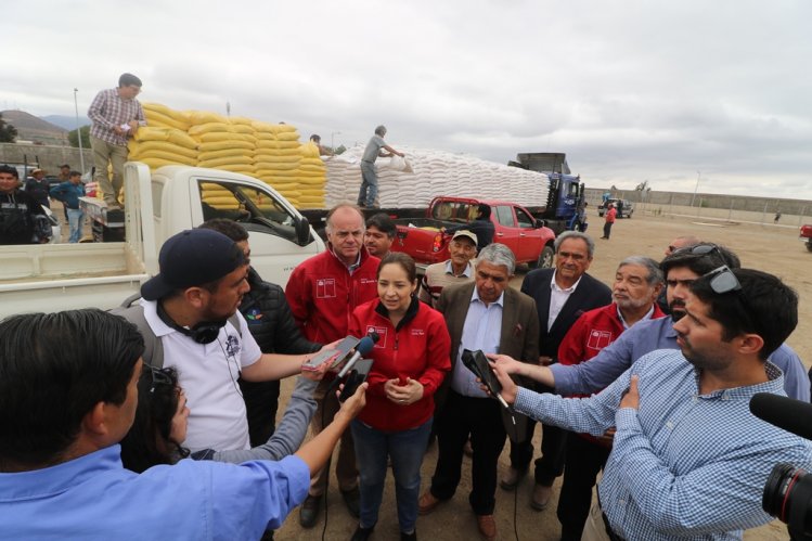 SECTOR GANADERO DE OVALLE RECIBE ALIMENTO ANIMAL PARA MITIGAR EFECTOS DE LA SEQUÍA