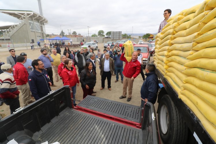 SECTOR GANADERO DE OVALLE RECIBE ALIMENTO ANIMAL PARA MITIGAR EFECTOS DE LA SEQUÍA SECTOR GANADERO DE OVALLE RECIBE ALIMENTO ANIMAL PARA MITIGAR EFECTOS DE LA SEQUÍA