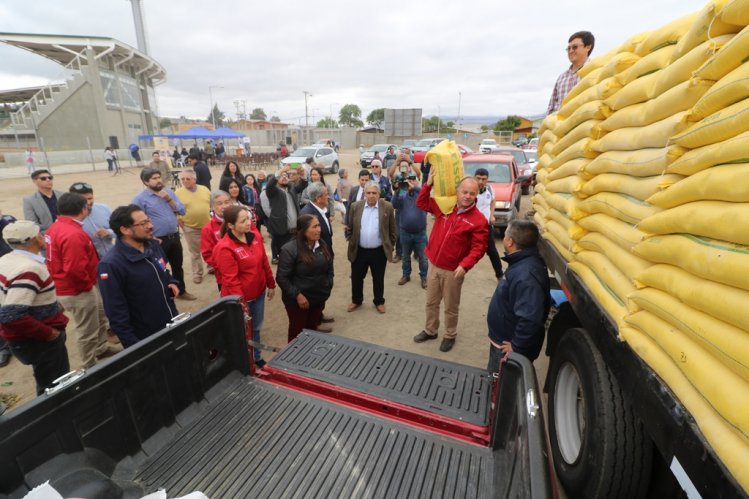 SECTOR GANADERO DE OVALLE RECIBE ALIMENTO ANIMAL PARA MITIGAR EFECTOS DE LA SEQUÍA