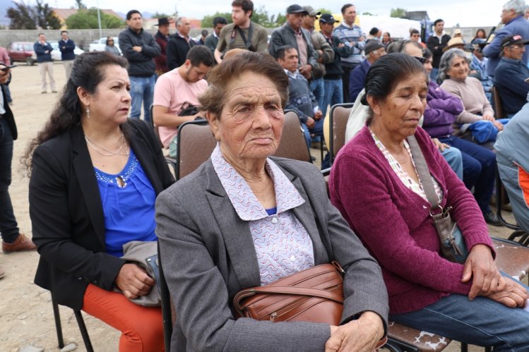 SECTOR GANADERO DE OVALLE RECIBE ALIMENTO ANIMAL PARA MITIGAR EFECTOS DE LA SEQUÍA