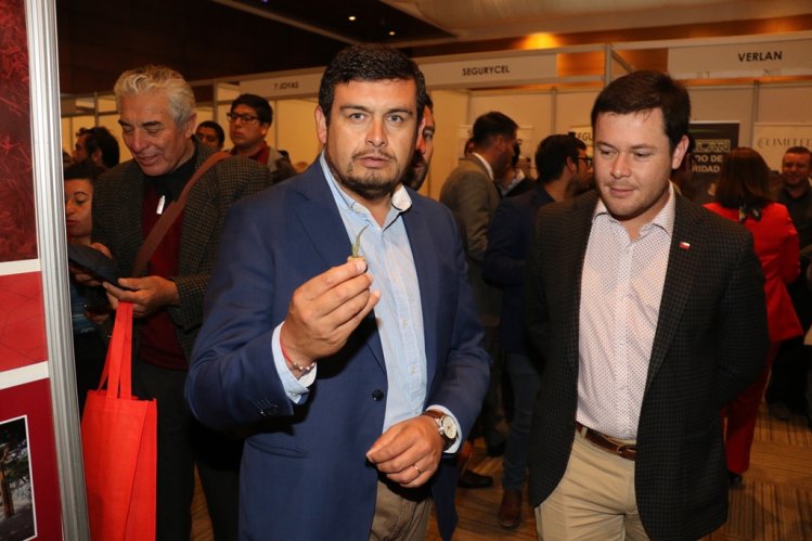 PROVEEDORES Y EMPRESAS MINERAS PROMUEVEN NUEVAS ALIANZAS PARA EL DESARROLLO DEL SECTOR PROVEEDORES Y EMPRESAS MINERAS PROMUEVEN NUEVAS ALIANZAS PARA EL DESARROLLO DEL SECTOR