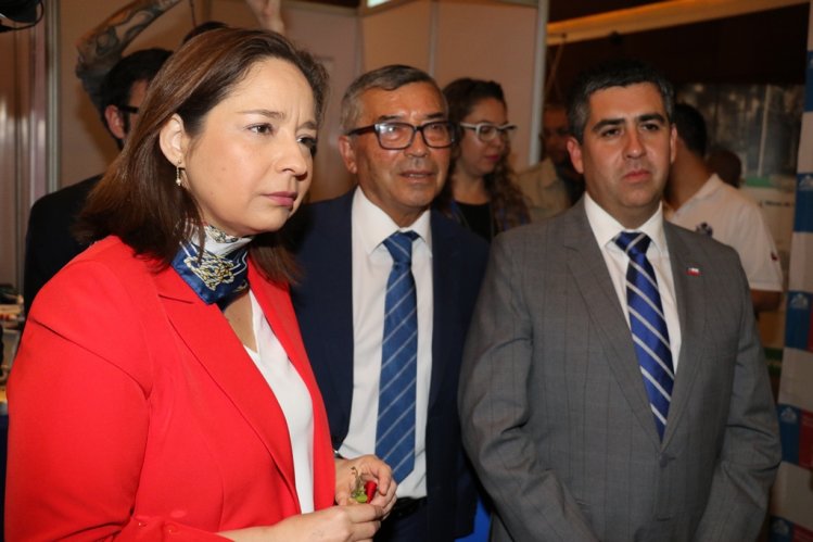PROVEEDORES Y EMPRESAS MINERAS PROMUEVEN NUEVAS ALIANZAS PARA EL DESARROLLO DEL SECTOR PROVEEDORES Y EMPRESAS MINERAS PROMUEVEN NUEVAS ALIANZAS PARA EL DESARROLLO DEL SECTOR