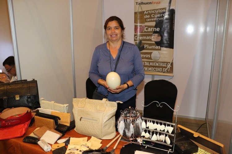 PROVEEDORES Y EMPRESAS MINERAS PROMUEVEN NUEVAS ALIANZAS PARA EL DESARROLLO DEL SECTOR PROVEEDORES Y EMPRESAS MINERAS PROMUEVEN NUEVAS ALIANZAS PARA EL DESARROLLO DEL SECTOR