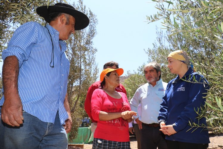 CERCA DE 8.500 PEQUEÑOS USUARIOS DE INDAP RECIBIRÁN RECURSOS PARA ENFRENTAR LOS EFECTOS DE LA SEQUÍA CERCA DE 8.500 PEQUEÑOS USUARIOS DE INDAP RECIBIRÁN RECURSOS PARA ENFRENTAR LOS EFECTOS DE LA SEQUÍA