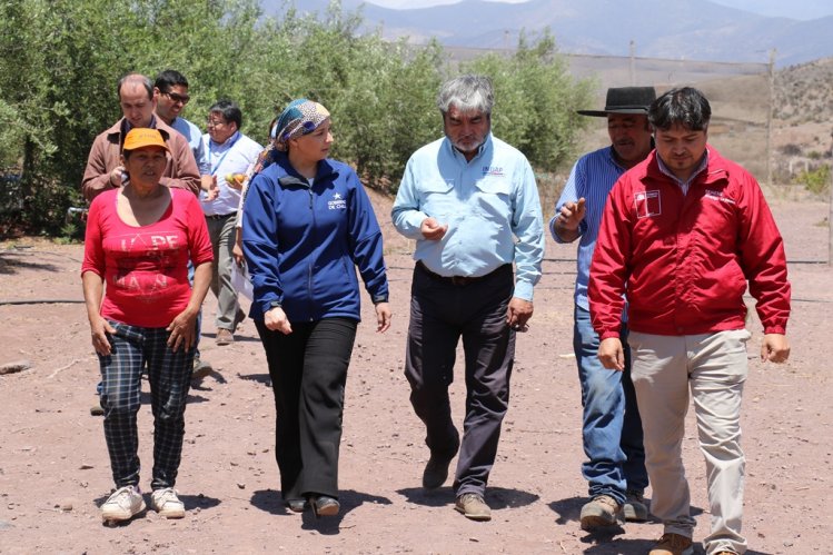 CERCA DE 8.500 PEQUEÑOS USUARIOS DE INDAP RECIBIRÁN RECURSOS PARA ENFRENTAR LOS EFECTOS DE LA SEQUÍA CERCA DE 8.500 PEQUEÑOS USUARIOS DE INDAP RECIBIRÁN RECURSOS PARA ENFRENTAR LOS EFECTOS DE LA SEQUÍA