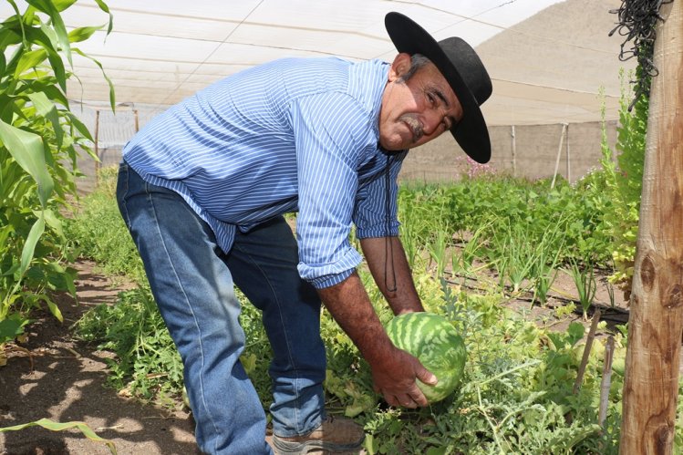 CERCA DE 8.500 PEQUEÑOS USUARIOS DE INDAP RECIBIRÁN RECURSOS PARA ENFRENTAR LOS EFECTOS DE LA SEQUÍA CERCA DE 8.500 PEQUEÑOS USUARIOS DE INDAP RECIBIRÁN RECURSOS PARA ENFRENTAR LOS EFECTOS DE LA SEQUÍA