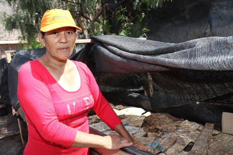 CERCA DE 8.500 PEQUEÑOS USUARIOS DE INDAP RECIBIRÁN RECURSOS PARA ENFRENTAR LOS EFECTOS DE LA SEQUÍA CERCA DE 8.500 PEQUEÑOS USUARIOS DE INDAP RECIBIRÁN RECURSOS PARA ENFRENTAR LOS EFECTOS DE LA SEQUÍA