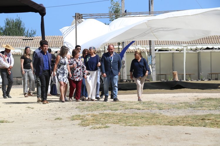 TRADICIONES DEL CAMPO DELEITAN A VISITANTES DURANTE PRIMERA JORNADA DE LA EXPO COQUIMBO