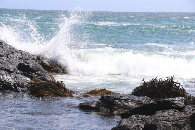 PESCADORES ARTESANALES DE LA HIGUERA RECIBEN INFRAESTRUCTURA PARA MEJORAR SUS CONDICIONES DE TRABAJO PESCADORES ARTESANALES DE LA HIGUERA RECIBEN INFRAESTRUCTURA PARA MEJORAR SUS CONDICIONES DE TRABAJO