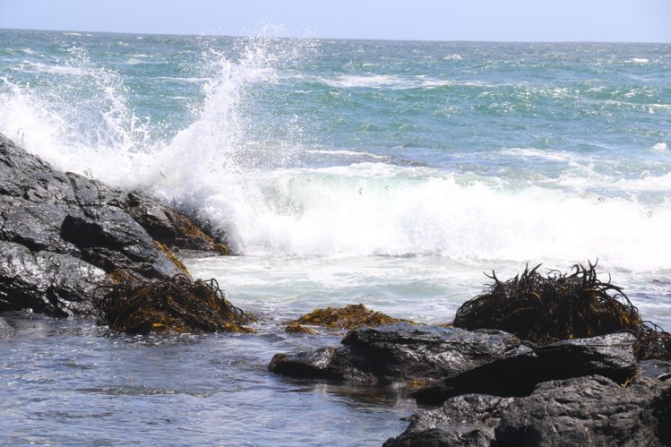 PESCADORES ARTESANALES DE LA HIGUERA RECIBEN INFRAESTRUCTURA PARA MEJORAR SUS CONDICIONES DE TRABAJO