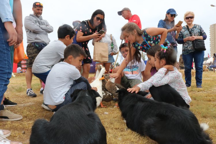 EXPO REGIÓN DE COQUIMBO 2020 CULMINÓ CUMPLIENDO CON LAS EXPECTATIVAS DEL PÚBLICO Y DE LOS EXPOSITORES EXPO REGIÓN DE COQUIMBO 2020 CULMINÓ CUMPLIENDO CON LAS EXPECTATIVAS DEL PÚBLICO Y DE LOS EXPOSITORES