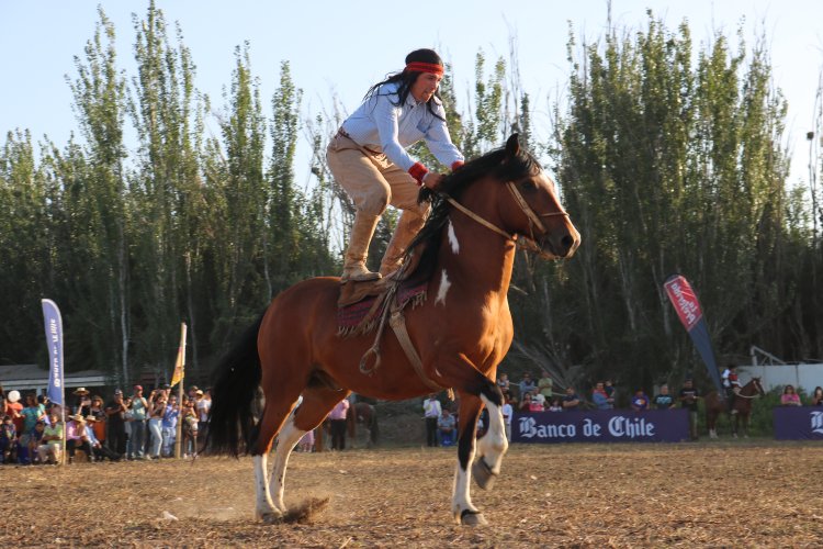 EXPO REGIÓN DE COQUIMBO 2020 CULMINÓ CUMPLIENDO CON LAS EXPECTATIVAS DEL PÚBLICO Y DE LOS EXPOSITORES