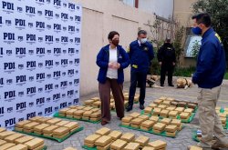 PDI DECOMISA EN LA SERENA MÁS DE 400 KILOS DE MARIHUANA TIPO CRIPY