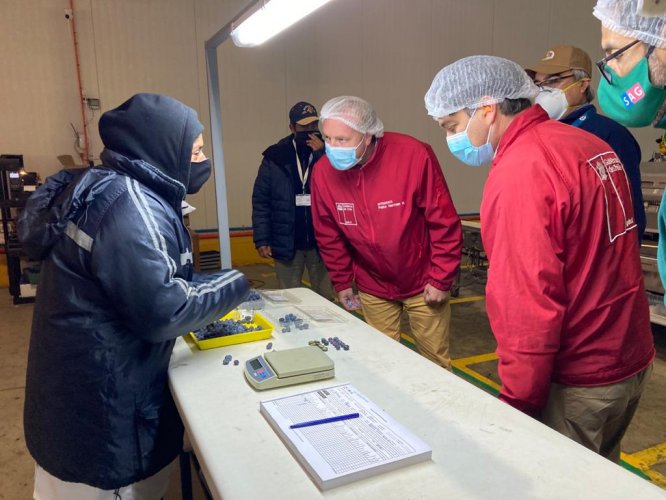 AUTORIDADES REGIONALES REVISAN PROTOCOLOS SANITARIOS IMPLEMENTADOS POR EL SECTOR AGRÍCOLA REGIONAL