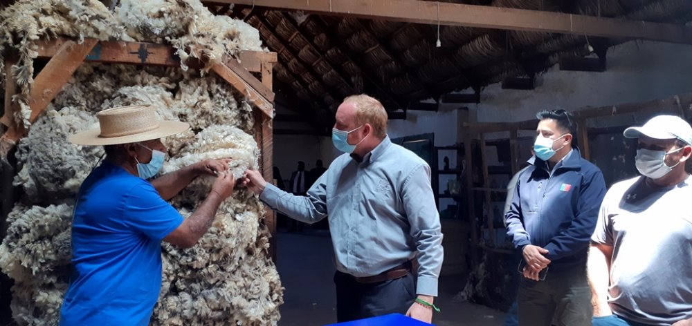 COMIENZA TRADICIONAL PROCESO DE ESQUILADO DE OVEJAS EN LA HACIENDA EL TANGUE