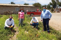 COMIENZA PAGO DE IFE COVID Y BONO COVID PARA APOYAR A LAS FAMILIAS AFECTADAS POR LA PANDEMIA EN LA REGIÓN.