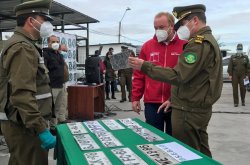 CARABINEROS HA DESARTICULADO NUEVE BANDAS GRACIAS AL TRABAJO DE SUS SECCIONES DE INVESTIGACIÓN POLICIAL