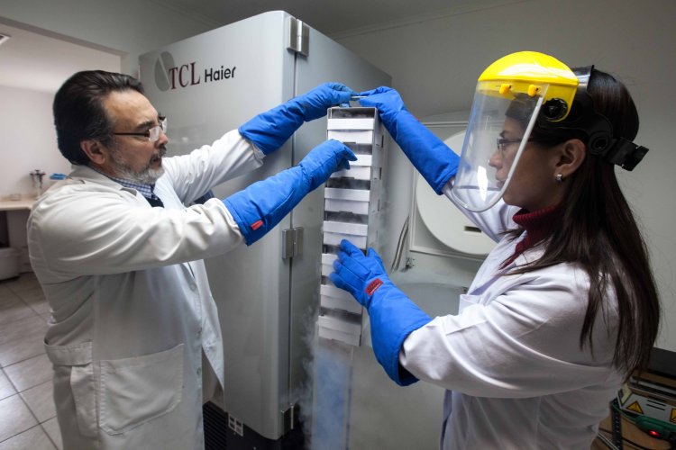 GOBIERNO REGIONAL PRIORIZARÁ CARTERA POR $ 2 MIL MILLONES A TRAVÉS DEL FONDO DE INNOVACIÓN PARA LA COMPETITIVIDAD GOBIERNO REGIONAL PRIORIZARÁ CARTERA POR $ 2 MIL MILLONES A TRAVÉS DEL FONDO DE INNOVACIÓN PARA LA COMPETITIVIDAD