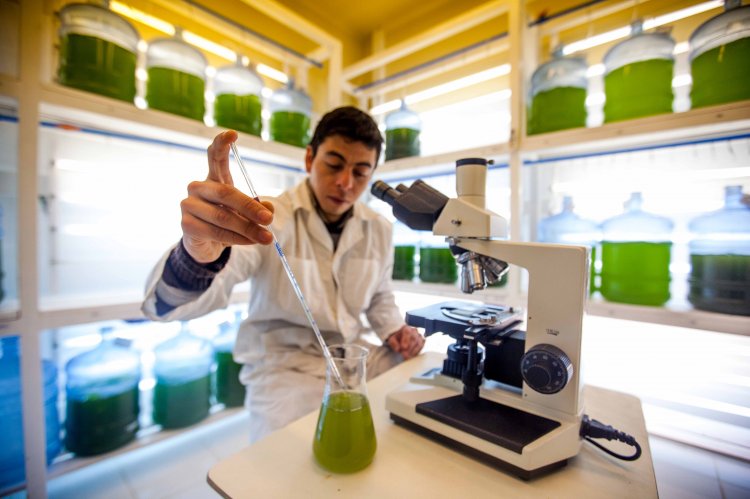GOBIERNO REGIONAL PRIORIZARÁ CARTERA POR $ 2 MIL MILLONES A TRAVÉS DEL FONDO DE INNOVACIÓN PARA LA COMPETITIVIDAD GOBIERNO REGIONAL PRIORIZARÁ CARTERA POR $ 2 MIL MILLONES A TRAVÉS DEL FONDO DE INNOVACIÓN PARA LA COMPETITIVIDAD