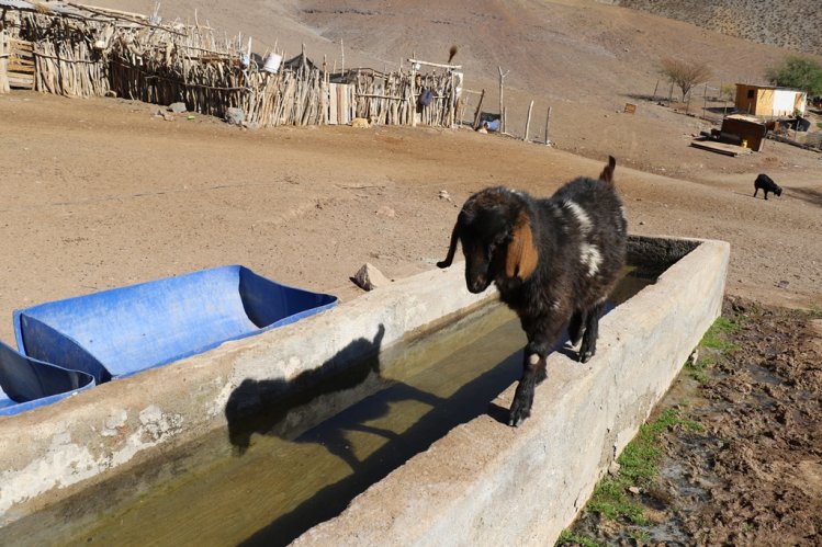 GOBERNADORA REGIONAL VALORA EL DECRETO DE EMERGENCIA AGRÍCOLA Y LLAMA AL TRABAJO CONJUNTO POR LAS FAMILIAS MÁS AFECTADAS GOBERNADORA REGIONAL VALORA EL DECRETO DE EMERGENCIA AGRÍCOLA Y LLAMA AL TRABAJO CONJUNTO POR LAS FAMILIAS MÁS AFECTADAS