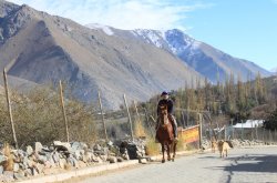 MESA DE DESARROLLO RURAL CAMPESINA RETOMA SU TRABAJO CON FOCO EN EL DÉFICIT HÍDRICO Y MANEJO SUSTENTABLE DE LA TIERRA