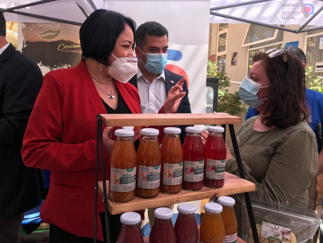 MICRO Y PEQUEÑAS EMPRESAS DE LIMARÍ Y CHOAPA SERÁN APOYADAS A TRAVÉS DEL PROGRAMA DE ZONAS REZAGADAS MICRO Y PEQUEÑAS EMPRESAS DE LIMARÍ Y CHOAPA SERÁN APOYADAS A TRAVÉS DEL PROGRAMA DE ZONAS REZAGADAS