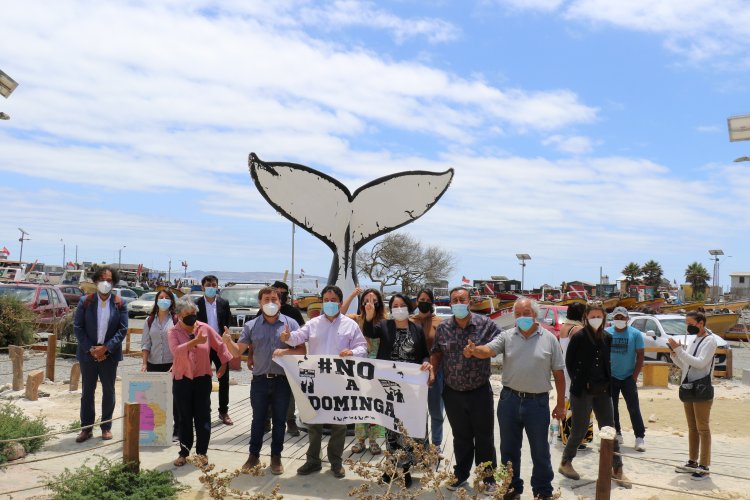 Crean Comité Asesor Birregional entre Atacama y Coquimbo para proteger el archipiélago de Humboldt