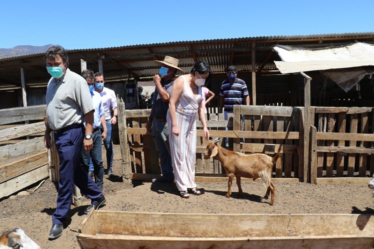 Futuro Ministro de Agricultura y Gobernadora Krist Naranjo comienzan trabajo en conjunto para enfrentar la sequía Futuro Ministro de Agricultura y Gobernadora Krist Naranjo comienzan trabajo en conjunto para enfrentar la sequía