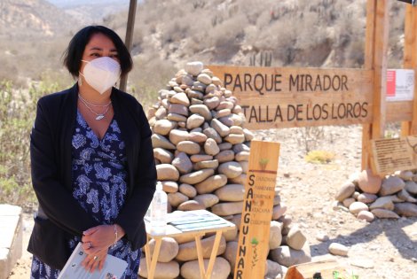 Comunidad de Islón busca proteger flora, fauna y valor histórico de Quebrada de Los Loros Comunidad de Islón busca proteger flora, fauna y valor histórico de Quebrada de Los Loros