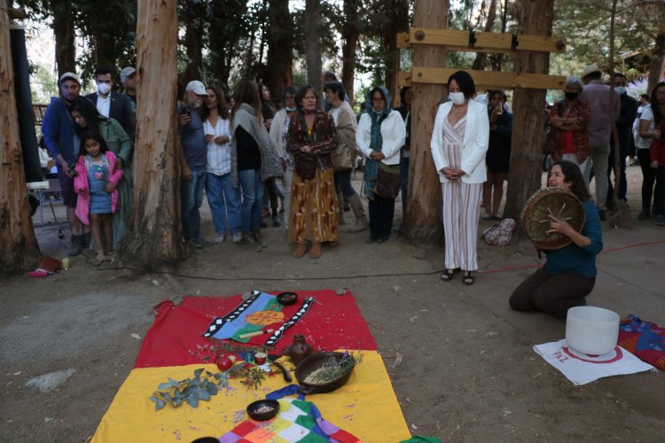 Santuario de la naturaleza Río Cochiguaz triplicó la superficie protegida de humedales en la región