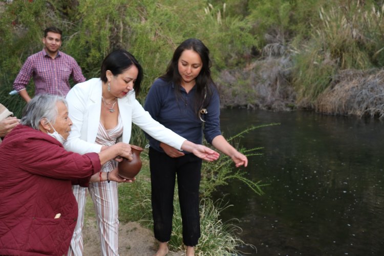Santuario de la naturaleza Río Cochiguaz triplicó la superficie protegida de humedales en la región