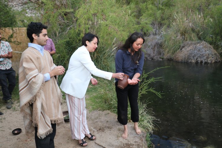 Santuario de la naturaleza Río Cochiguaz triplicó la superficie protegida de humedales en la región