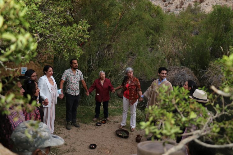 Santuario de la naturaleza Río Cochiguaz triplicó la superficie protegida de humedales en la región