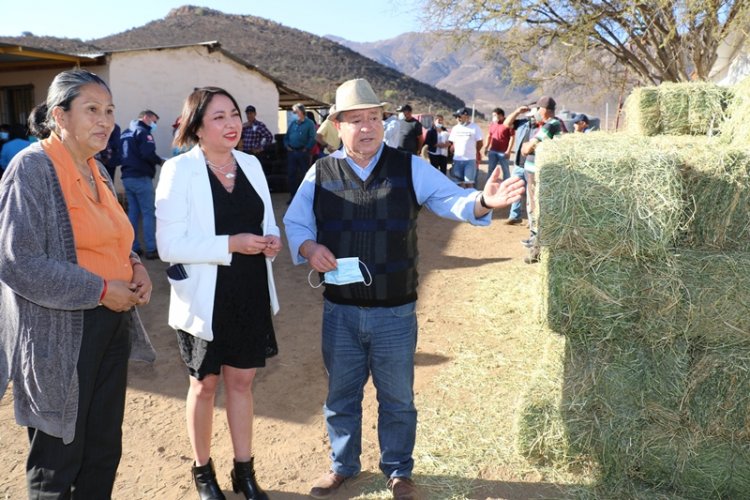 Más de 240 familias de comunidades agrícolas de Elqui reciben recursos para enfrentar la crisis hídrica