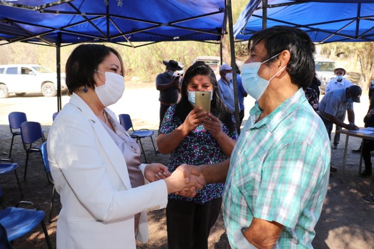 Afectados por incendio forestal en Monte Patria reciben incentivos para la rehabilitación productiva