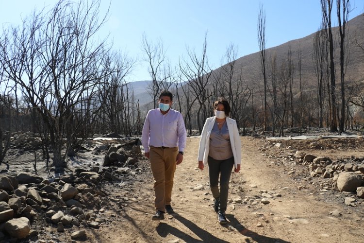Afectados por incendio forestal en Monte Patria reciben incentivos para la rehabilitación productiva